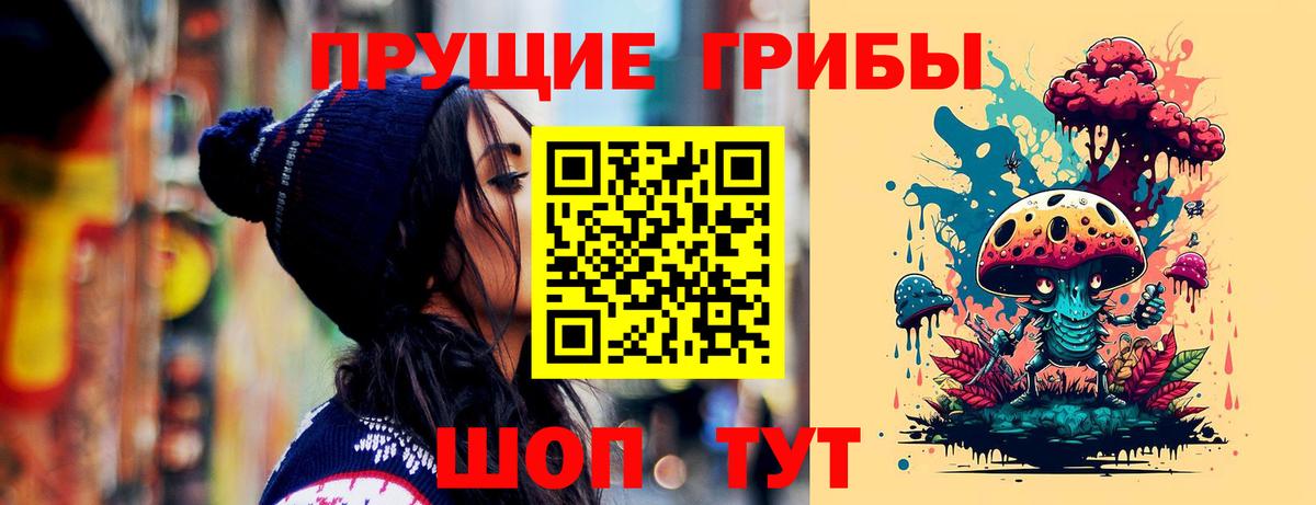 Галлюциногенные грибы Psilocybe Волжский